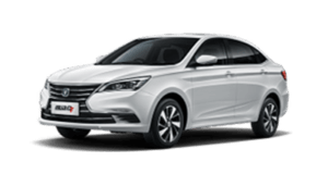 Grey KIA CARNIVAL 2024